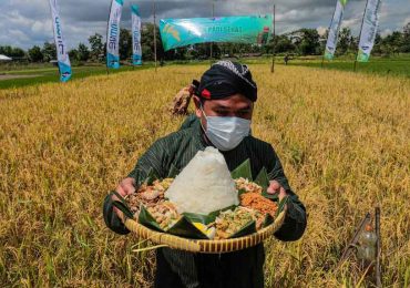 Panen Raya Padi Organik di Sleman