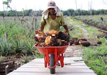 Industri Sawit Berdaya di Eropa