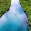 Surga Mangrove Pulau Leebong