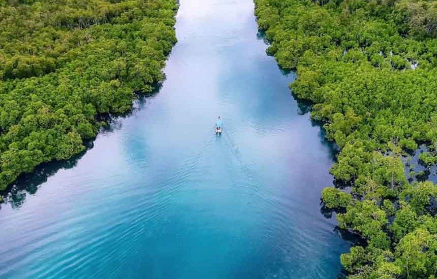 Surga Mangrove Pulau Leebong