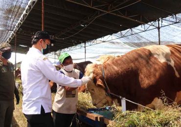 Pastikan Kesehatan Hewan Kurban