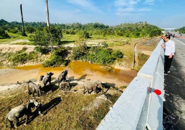 Pembangunan Infrastruktur Harus Ramah Lingkungan