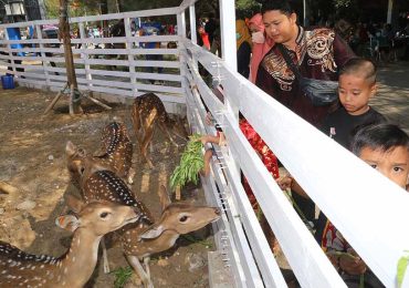 Mini Zoo Romokalisari Makin Lengkap