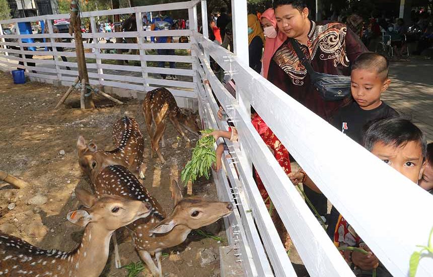 Mini Zoo Romokalisari Makin Lengkap