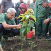 Ganjar dan Warga Tanam 15 Ribu Pohon