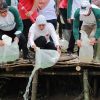 Kuatkan Sinergi Hulu Hilir Mangrove