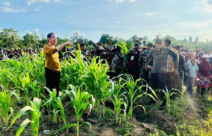 Agar Keerom Jadi Lumbung Jagung