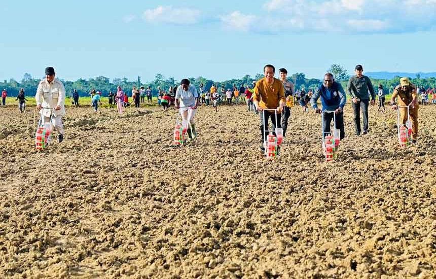 Jokowi Tinjau Food Estate di Keerom Papua