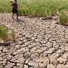 Pengamat Ingatkan Soal El Nino