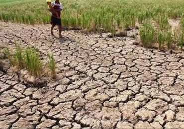 Pengamat Ingatkan Soal El Nino