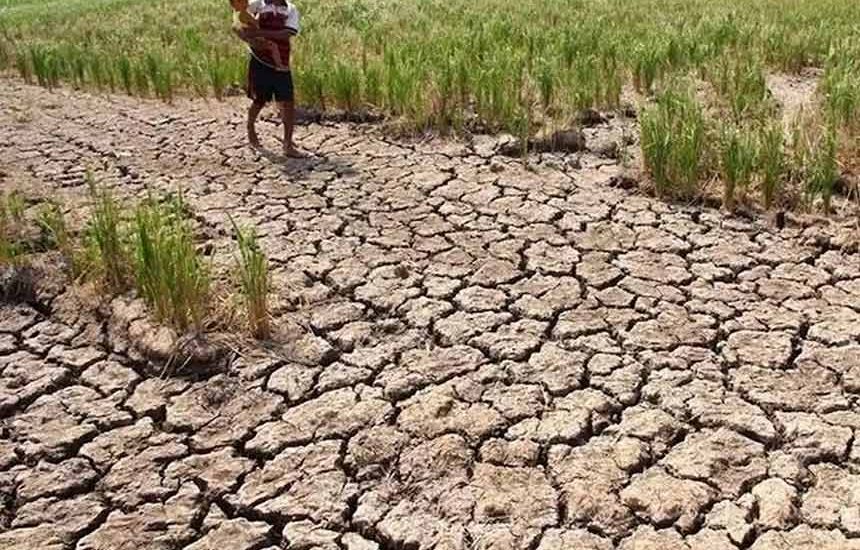 Pengamat Ingatkan Soal El Nino