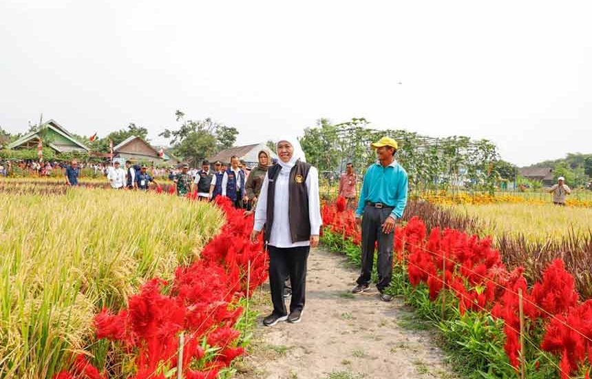 Pencanangan Manajemen Tanaman Sehat