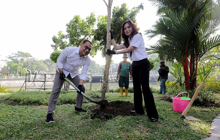 Pemkot Surabaya Disumbang Tabebuya