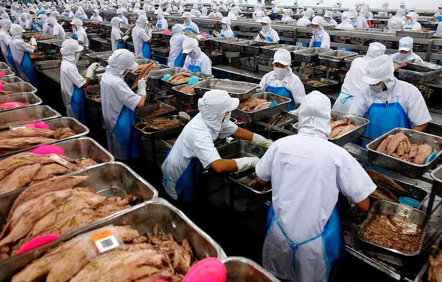 Industri Ikan Kaleng Kerek Devisa