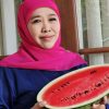 Foto Profil Khofifah Bawa Semangka