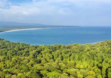 Keanekaragaman Hayati Ujung Kulon