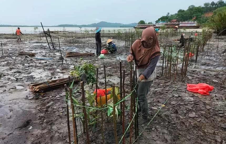 Indonesia Ketua Bersama Aliansi Mangrove