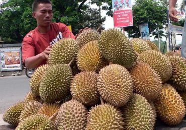 Agar Durian Lokal Mengglobal