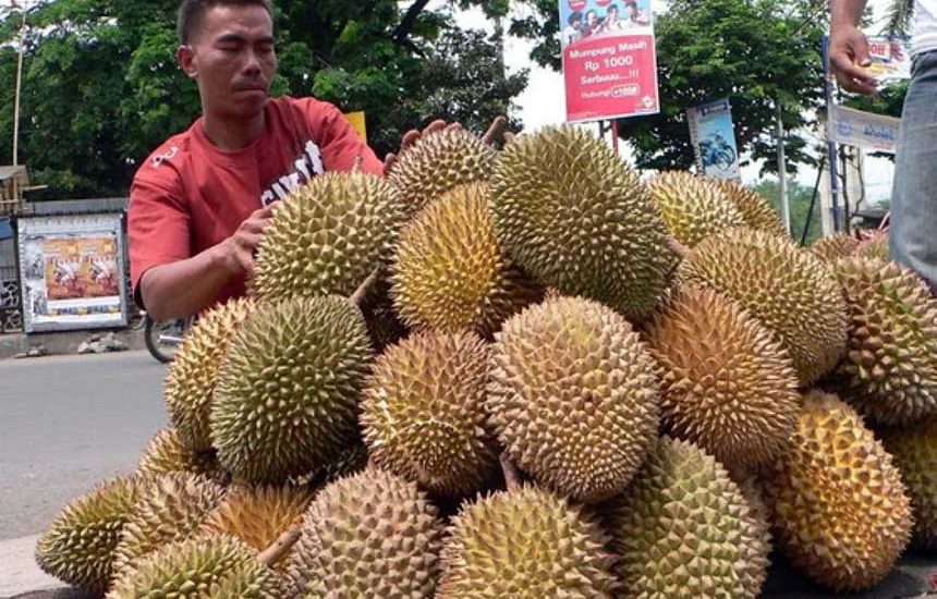 Agar Durian Lokal Mengglobal