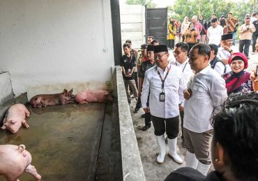 Relokasi Pemotongan Babi dari Ampel