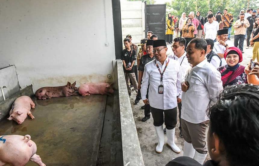 Relokasi Pemotongan Babi dari Ampel