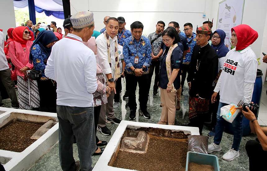 Rumah Maggot dan Eco Enzim di Surabaya