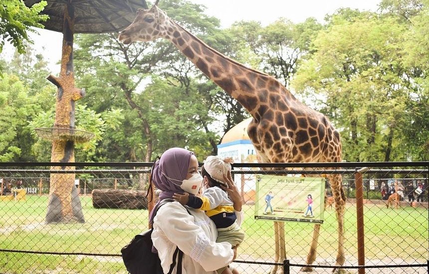 Puluhan Ribu Wisatawan Kunjungi KBS