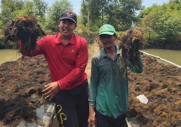 Bisnis Rumput Laut Mahasiswa Unair