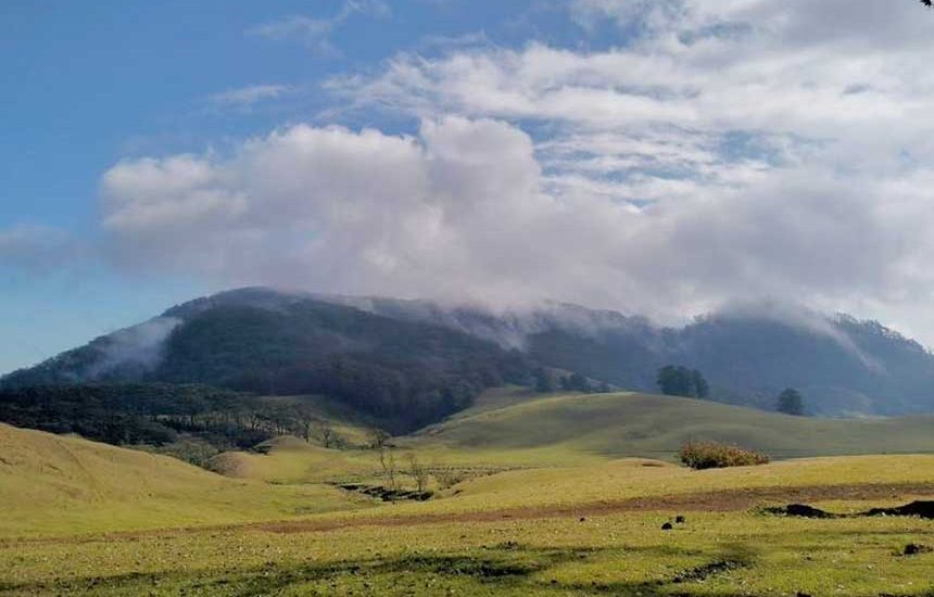 Mutis Timau, Paru-Paru NTT