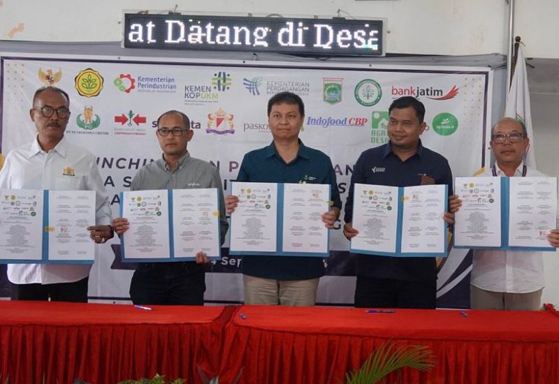 Bank Jatim Ikut Tingkatkan Produktivitas Hortikultura di Malang