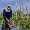 Produksi Lokal Tekan Ketergantungan